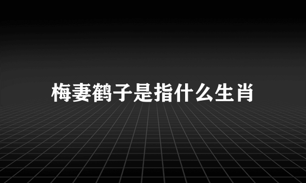 梅妻鹤子是指什么生肖