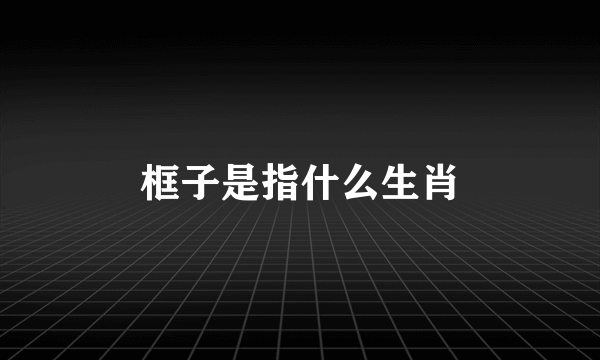 框子是指什么生肖