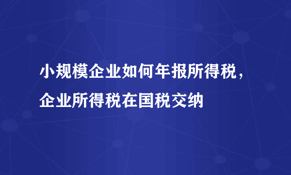 小规模企业如何年报所得税，企业所得税在国税交纳