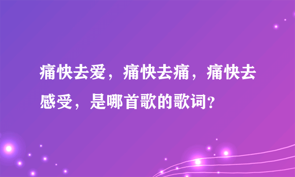 痛快去爱，痛快去痛，痛快去感受，是哪首歌的歌词？