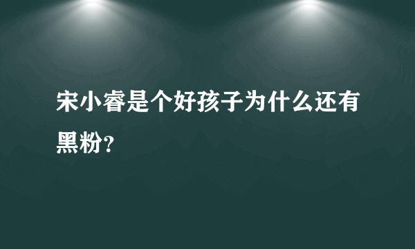 宋小睿是个好孩子为什么还有黑粉？