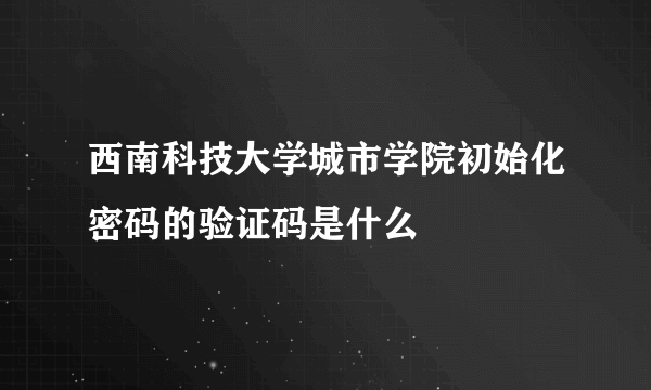 西南科技大学城市学院初始化密码的验证码是什么