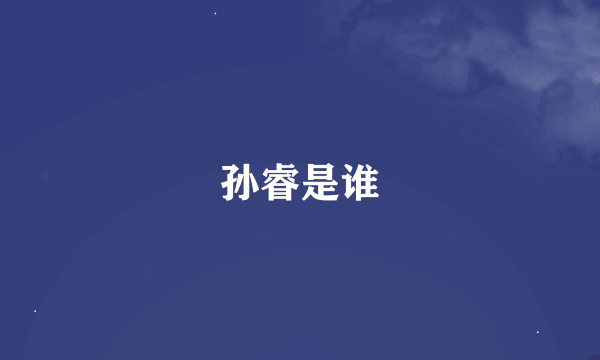 孙睿是谁