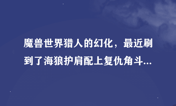 魔兽世界猎人的幻化，最近刷到了海狼护肩配上复仇角斗士的长弓