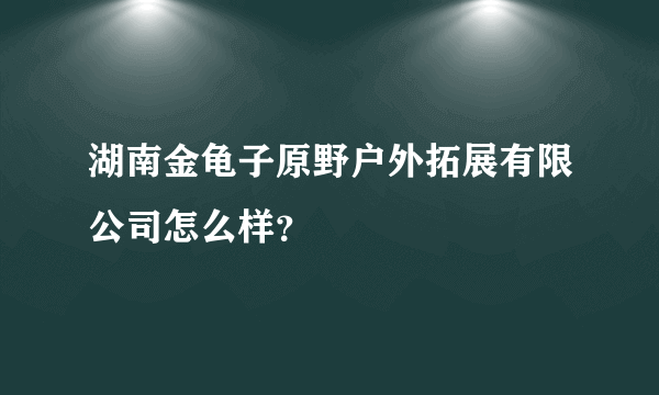 湖南金龟子原野户外拓展有限公司怎么样？