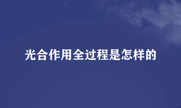 光合作用全过程是怎样的