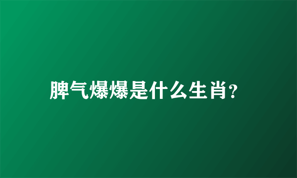 脾气爆爆是什么生肖？