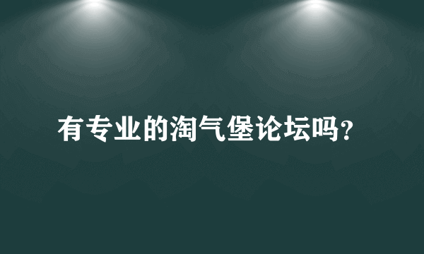 有专业的淘气堡论坛吗？