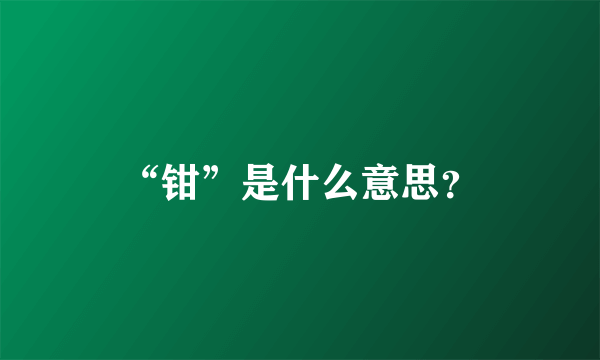 “钳”是什么意思？