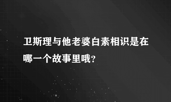 卫斯理与他老婆白素相识是在哪一个故事里哦？