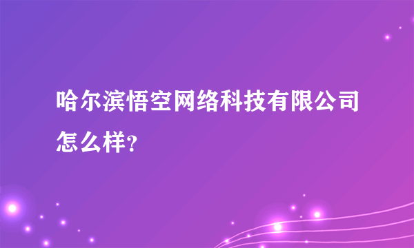 哈尔滨悟空网络科技有限公司怎么样？