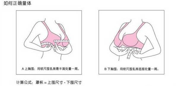 胸罩的罩杯分为那几种