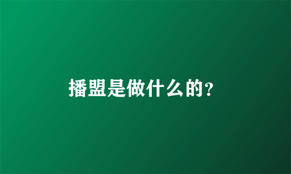 播盟是做什么的？