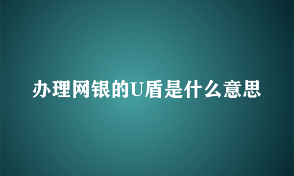 办理网银的U盾是什么意思