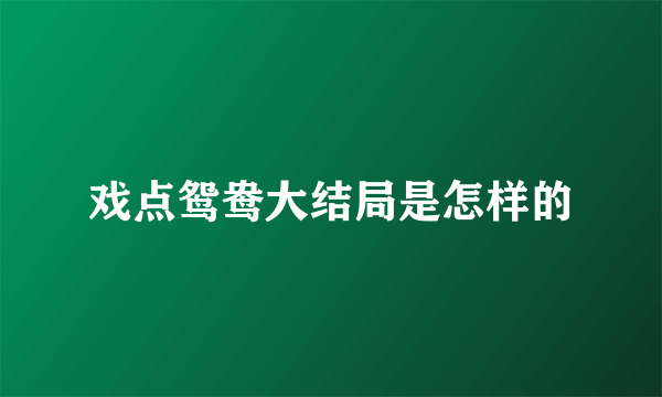 戏点鸳鸯大结局是怎样的