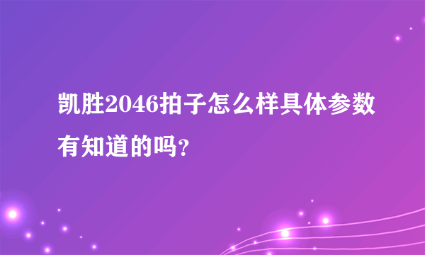 凯胜2046拍子怎么样具体参数有知道的吗？