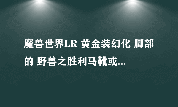 魔兽世界LR 黄金装幻化 脚部的 野兽之胜利马靴或者 能量之胜利马靴 是哪里掉落的啊