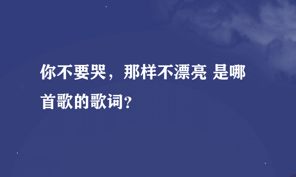 你不要哭，那样不漂亮 是哪首歌的歌词？