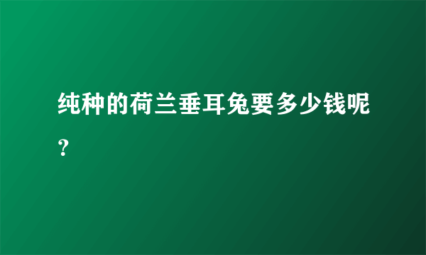 纯种的荷兰垂耳兔要多少钱呢？