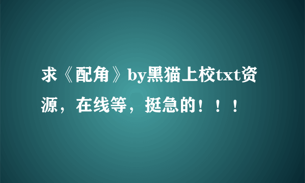 求《配角》by黑猫上校txt资源，在线等，挺急的！！！