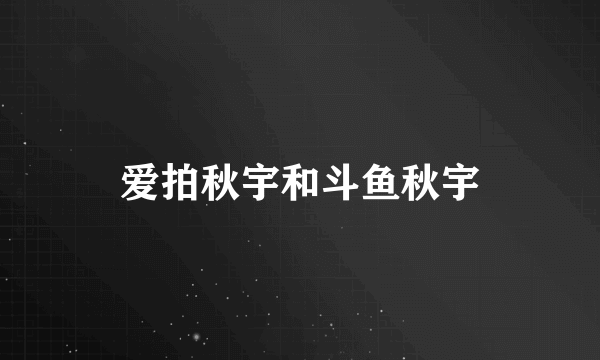 爱拍秋宇和斗鱼秋宇