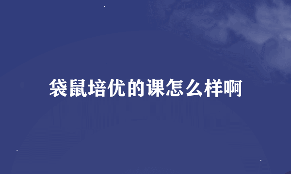 袋鼠培优的课怎么样啊