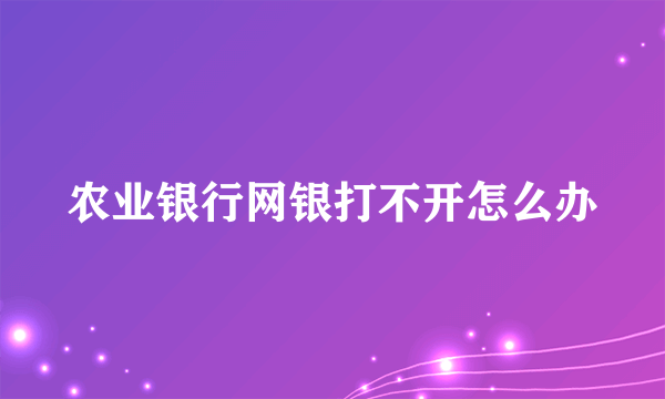 农业银行网银打不开怎么办