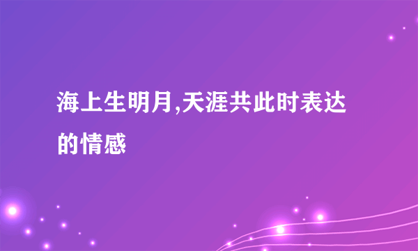 海上生明月,天涯共此时表达的情感