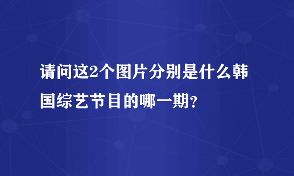 请问这2个图片分别是什么韩国综艺节目的哪一期？