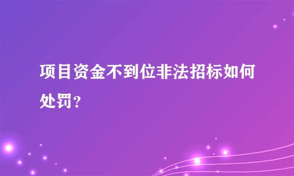 项目资金不到位非法招标如何处罚？