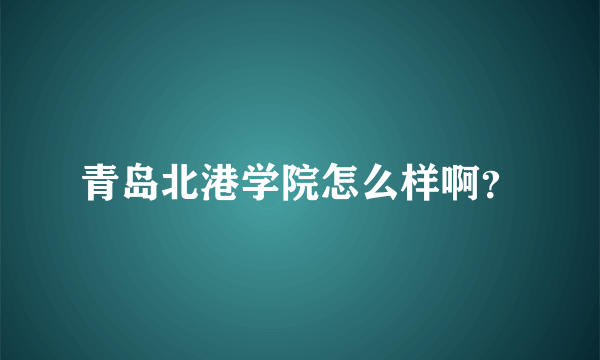 青岛北港学院怎么样啊？