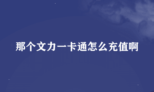 那个文力一卡通怎么充值啊