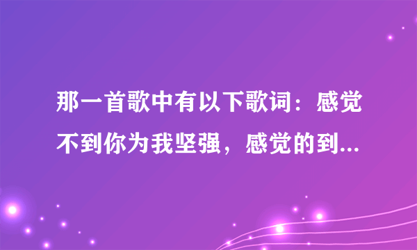 那一首歌中有以下歌词：感觉不到你为我坚强，感觉的到你对我撒谎