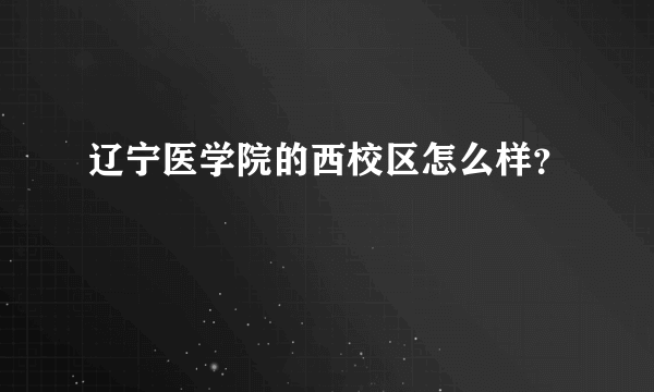 辽宁医学院的西校区怎么样？