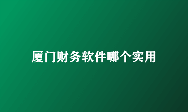 厦门财务软件哪个实用