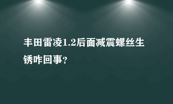 丰田雷凌1.2后面减震螺丝生锈咋回事？