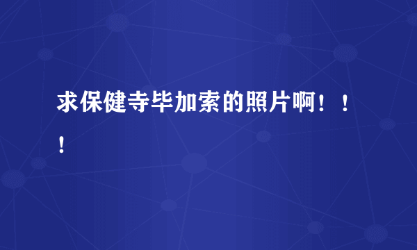 求保健寺毕加索的照片啊！！！