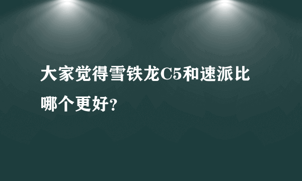 大家觉得雪铁龙C5和速派比哪个更好？