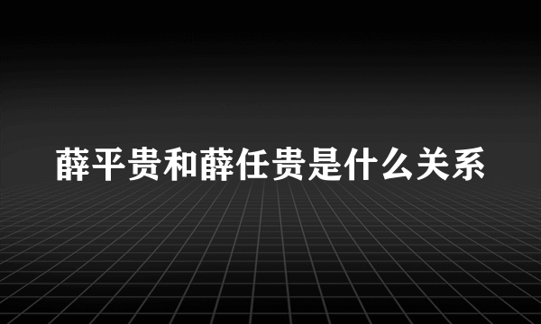 薛平贵和薛任贵是什么关系