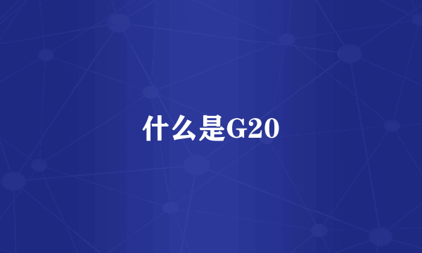 什么是G20