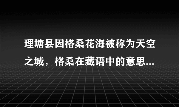 理塘县因格桑花海被称为天空之城，格桑在藏语中的意思是什么？