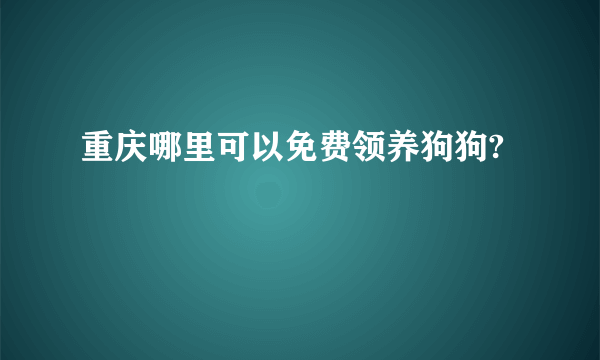 重庆哪里可以免费领养狗狗?