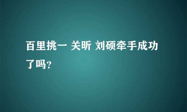 百里挑一 关昕 刘硕牵手成功了吗？