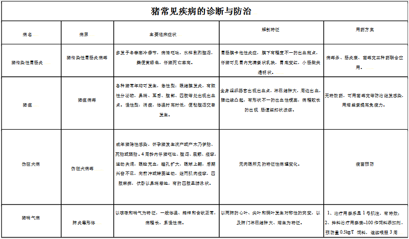 三十二种常见的猪病