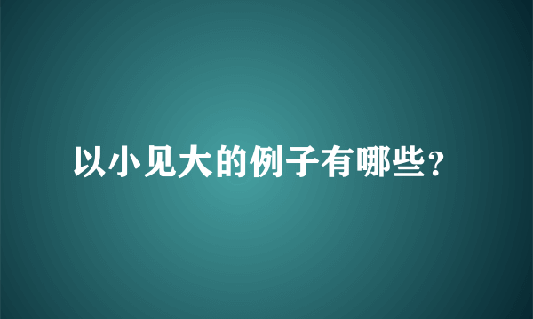 以小见大的例子有哪些？