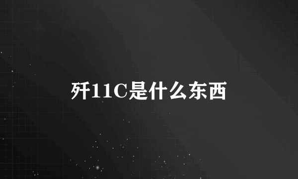 歼11C是什么东西