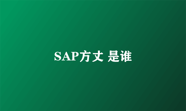 SAP方丈 是谁