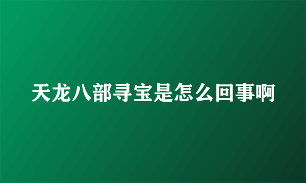 天龙八部寻宝是怎么回事啊