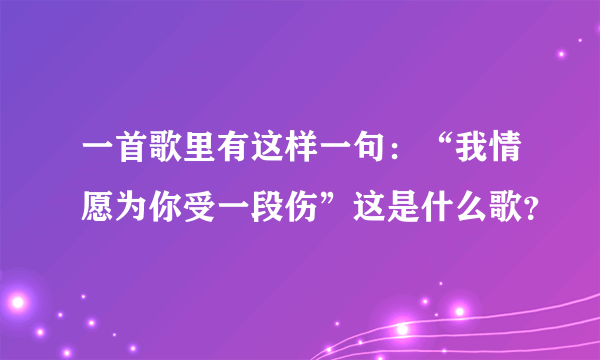 一首歌里有这样一句：“我情愿为你受一段伤”这是什么歌？