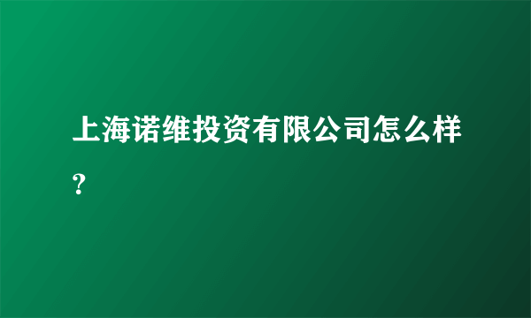 上海诺维投资有限公司怎么样？